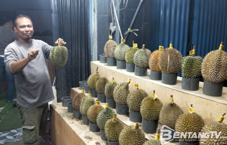 Bandar Durian Balaraja Hadirkan Aneka Varian Rasa, Bos Cecep: Kualitas dan Kepuasan Pelanggan Jadi Prioritas